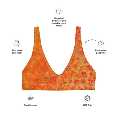 All-Over Print Recycled Padded Bikini Top