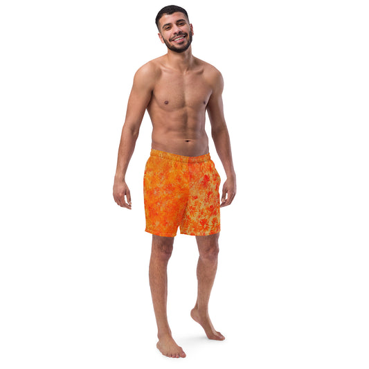 Men's swim trunks